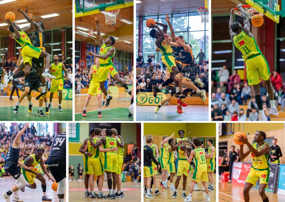 „Offensiv noch mehr Potenzial“: Al-Fayed Alegbe bleibt! 